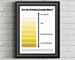Urine Color Chart Pee Color Chart Water Intake Chart Pee