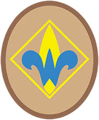 Image result for cub scout ranks