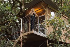 Beudy Banc Treehouse Treehouse In