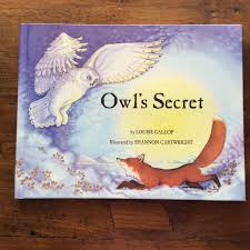 owl s secret book