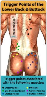 Sharp pain in the lower back and hip on one side a shooting and sharp pain felt on one side on your lower back and hip may be caused by muscle spasm, joint dysfunction, and/or nerve compression in the region. Trigger Points Hip Back