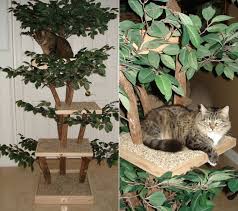 Shop the top 25 most popular 1 at the best prices! Ready To Assemble Real Wood Cat Tree Kits