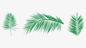 thread clipart free vectors palm leaf
