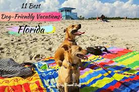 dog friendly vacations in florida