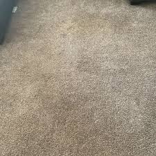 carpet cleaning in gainesville fl