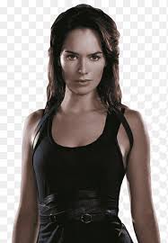 Sarah connor (lena headey) finds herself in a dangerous and complicated new world in the new drama terminator: Lena Headey Terminator The Sarah Connor Chronicles Cameron John Connor Maisie Williams Celebrities Television Png Pngegg