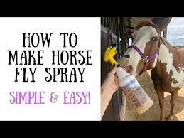 how to make horse fly spray simple