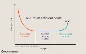 Minimum Efficient Scale Mes Definition