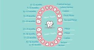 Should You Be Concerned When Your Baby Teeth Coming In Late