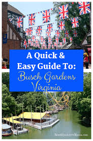 busch gardens va is the perfect family trip