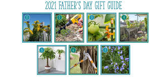 Day Gifts For The Nature Loving Dad