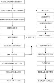 Dt 12 Lesson 7 Barley Classification Malting And Processing