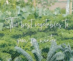 The Best Vegetables To Grow For Winter