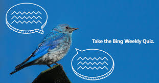 This quiz feature of bing search was introduced in 2016 to test your knowledge. Microsoft Bing Big Changes Are Afoot In This Little Bird S World Discover The Story Http Msft Social J7dvct Bingsearchtrends Quiz Facebook