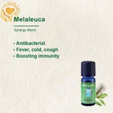 melaleuca essential oil in msia