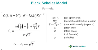 Black Scholes Model Option