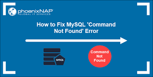 mysql command not found error in