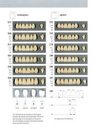 Vita Mold Chart Specialty Tooth Supply Ltd