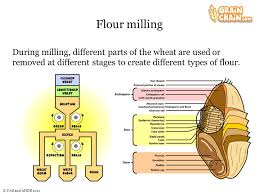 Free Info 58 Wheat Flour Milling Process Download Pdf Doc Zip