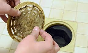 How To Unclog A Shower Drain The Home