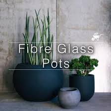 However i intent to plant up with i think a box plant. Buy Flower Pots Planters Online In India Mybageecha
