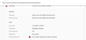 noindex detected in robots meta