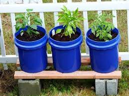 Grobucket Self Watering Planter Review