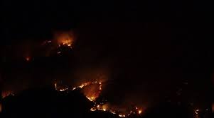 Jandarma yangın gesi orman yangını yangına müdahale. Qoc9cepme4uu4m