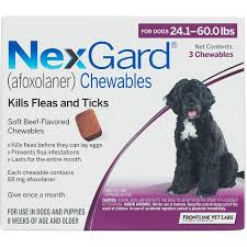Nexgard For Dogs 24 1 60 0 Lbs 3 Month Supply