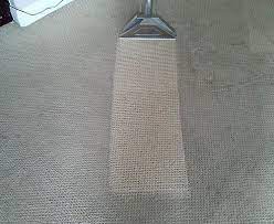 carpet cleaning buff family carpet care