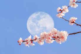 full moon is called the flower moon