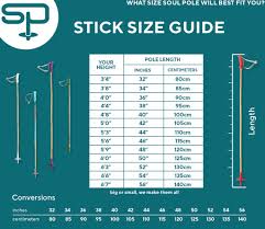 Factual Downhill Ski Pole Size Chart 2019