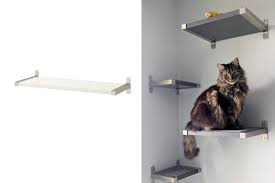 floating cat shelves with ikea granhult