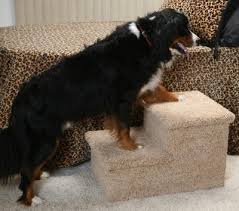 carpeted stairs for large dogs