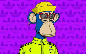 300 monkey wallpapers wallpapers com