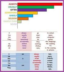 21 Best Adverbs Of Frequency Images Adverbs Learn English