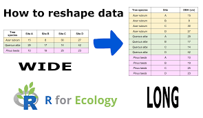 reshape your data in r for ysis