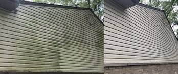 how to remove green algae from siding