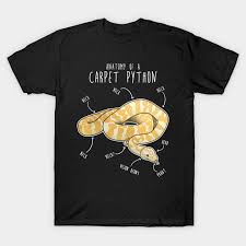 albino darwin carpet python snake