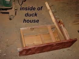 Habitat For Ducks