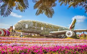 book dubai miracle garden tickets