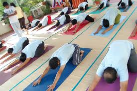 kailash yoga kendra in anna nagar