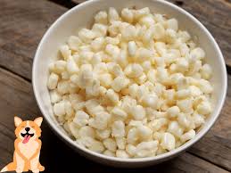 can dogs eat hominy is hominy safe for