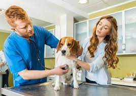 Wed, jul 28, 2021, 4:00pm edt Metlife Pet Health Insurance Review
