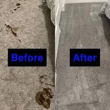 pure clean carpet tile care 28