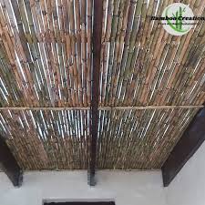 bamboo ceiling bamboocreation co