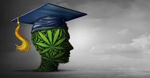 Cannabis education