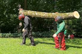 Tree Services Va Md Jl Tree Service Inc