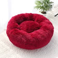 dog sofa bed best in singapore