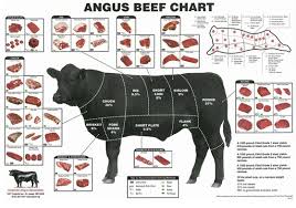 Cuts Of Beef Diagram Chart Drawn Meat Chart Cow Pencil And